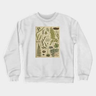 Ferns and Mosses Crewneck Sweatshirt